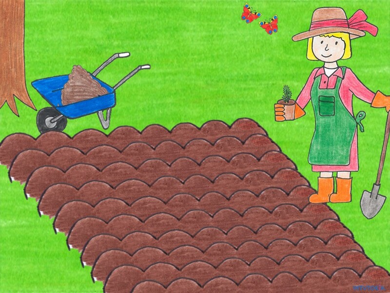 Spiel 1 - Finde es heraus!