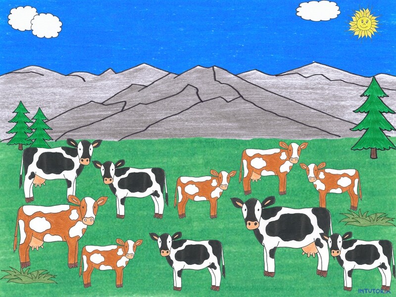 Spiel 9 - Welche Zahl wurde geteilt