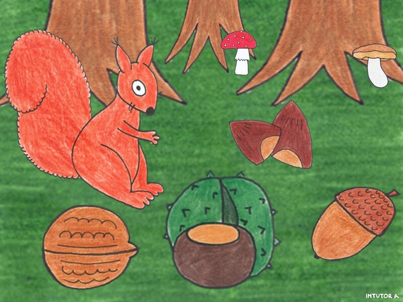 Spiel 3 - Finde den richtigen Partner